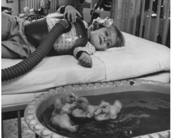 ���ﱻ�ý���ҽѧ���ƣ����ú��ӵ����飬1956��