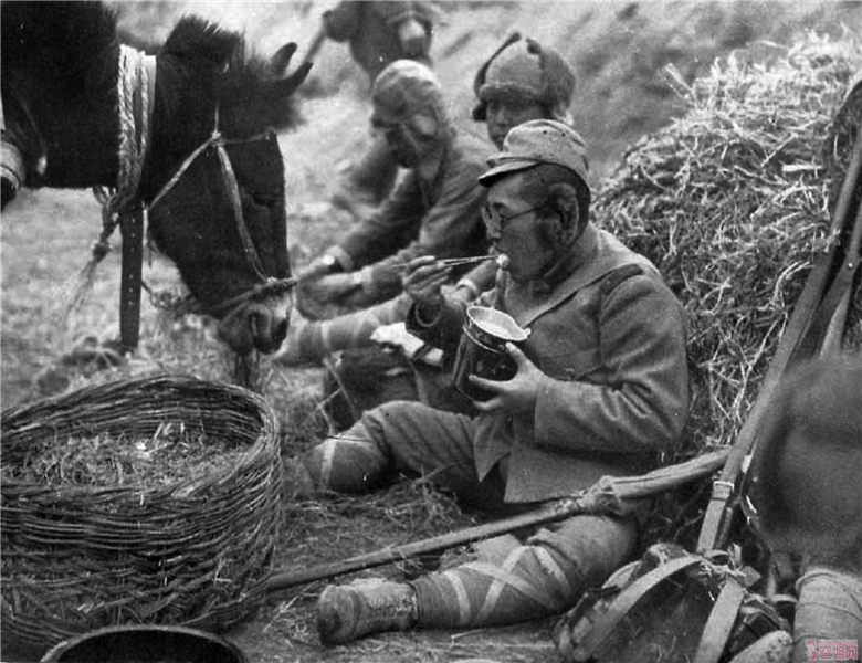 �����ֻ��վ���ʳ:ս������������