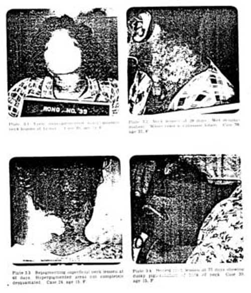 ʷ��ʮ��������Ե���������