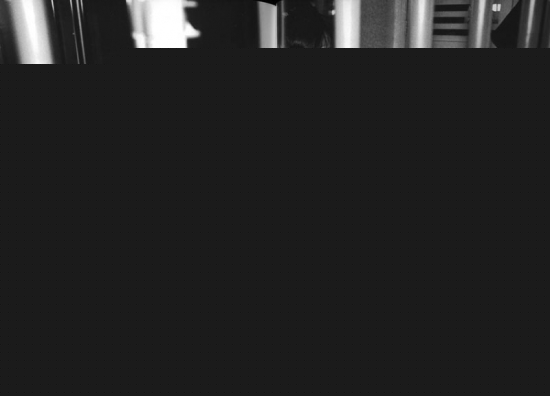 1980�����̬���ձ��������޺����(1)