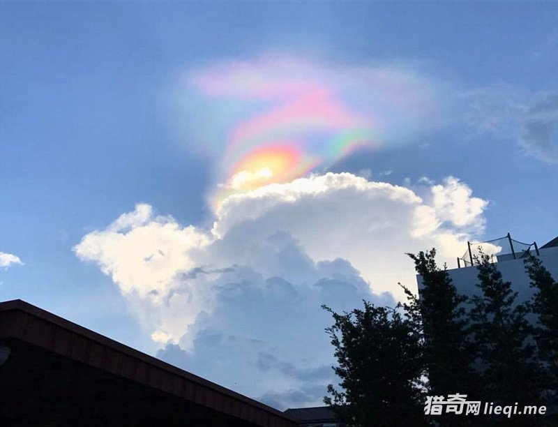 �¼��¾��֡���ʺ硱���ϳ�UFO