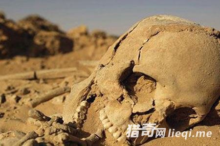 �޲���ɳ����ʲô?��Ⱦ�����ɥʬ̫�ֲ���