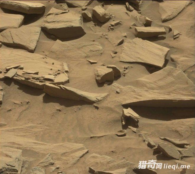 �������ٴη��֡����ӡ�����Щ��������ܡ�֩�룬���Ǵ���ô��(1)