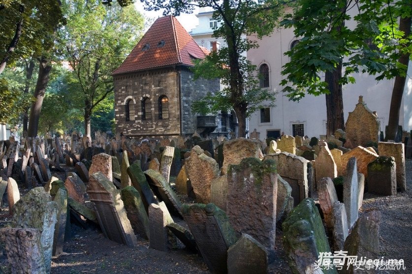 ��������10���׵أ�������Ĺ԰����ʮ���ˣ�������֮����������(1)