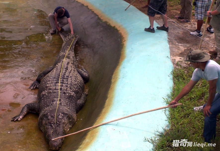 ���˺��µ���Щ���ޣ�ȴ��ʵ�����ڵ����ϣ�(1)