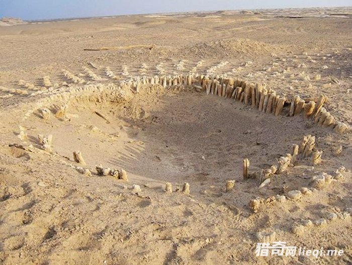 �����й��ڶ������4����ʧ�ɾ����������