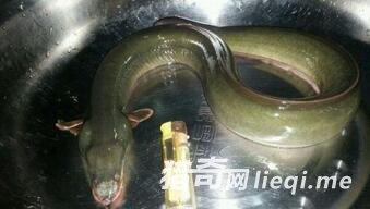 ���Ӳ��񡰳�����Ļ����� ��֪������������