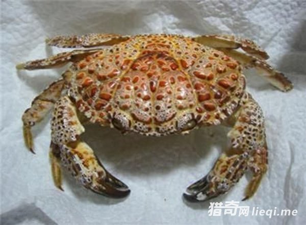 ��һ���з�������Ի��Ƕ��������ģ�ҪС�İ���(1)