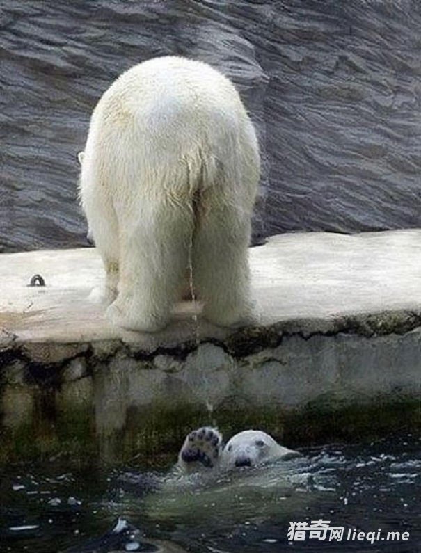 ʵ�ģ�����Ҳ��񣬾��ų���Ц�������˲����(1)