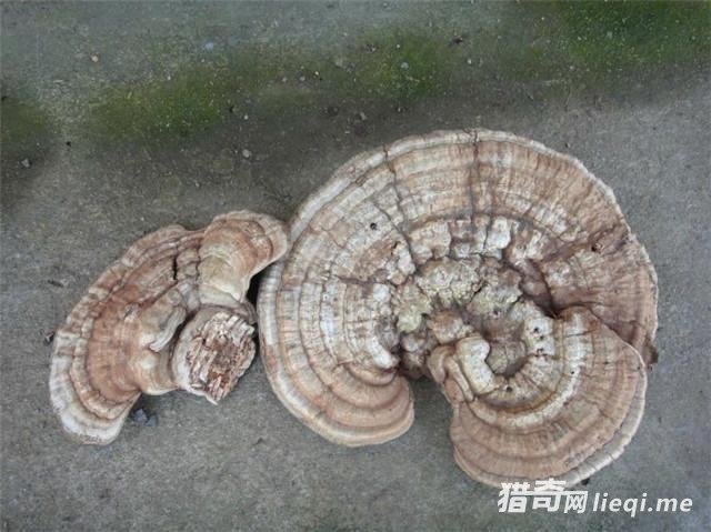 ���ϳ�������������� ȴ���޶��ġ���Ȼ���㡱