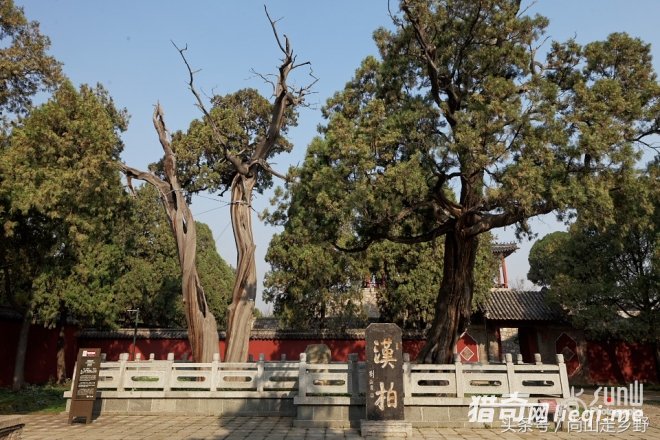 2000����ǰ������ڴ�������ֲ������񶼳��˹�����(1)