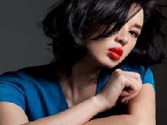 ��ս��2���������ö��ض�������������뵼��