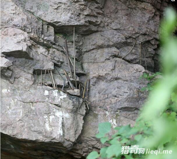 ɽ�ﳣ��������С����֧��ɽʯ��������ʲôԢ��