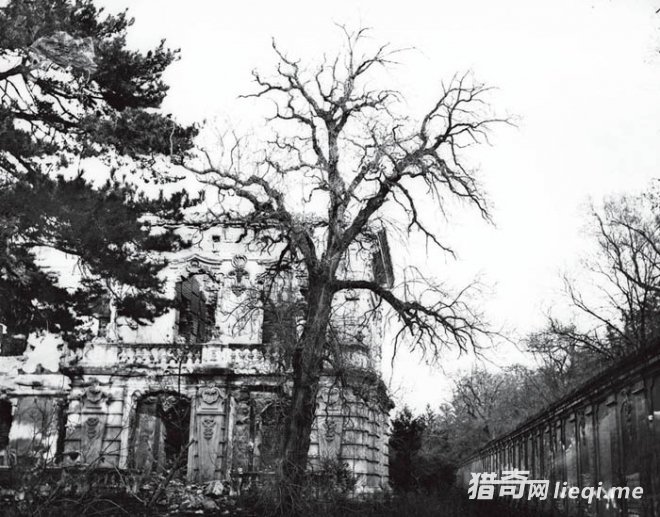 ����Ƭ��¼Բ��԰����13��������ֺ�ĵۻ�԰����û�ڻĲ���(5)