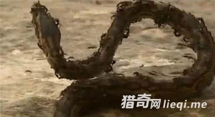 ���!�������о���Ѩ ˲����һ�Ѱ׹�