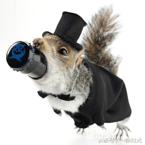 �����Ͼƾ�����ߵ�ơ�ƣ���һ��ֻ�����װ��һƿ5280�����(1)