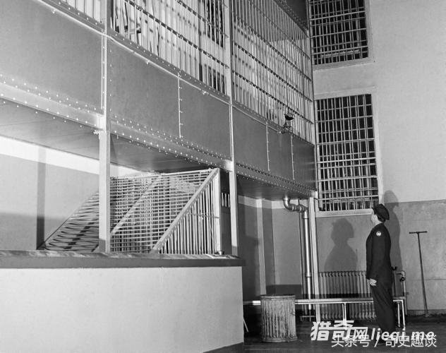 һ������Ƭ�����ܶ��������Ķ�ħ���������������ʲô���ӵ�(2)