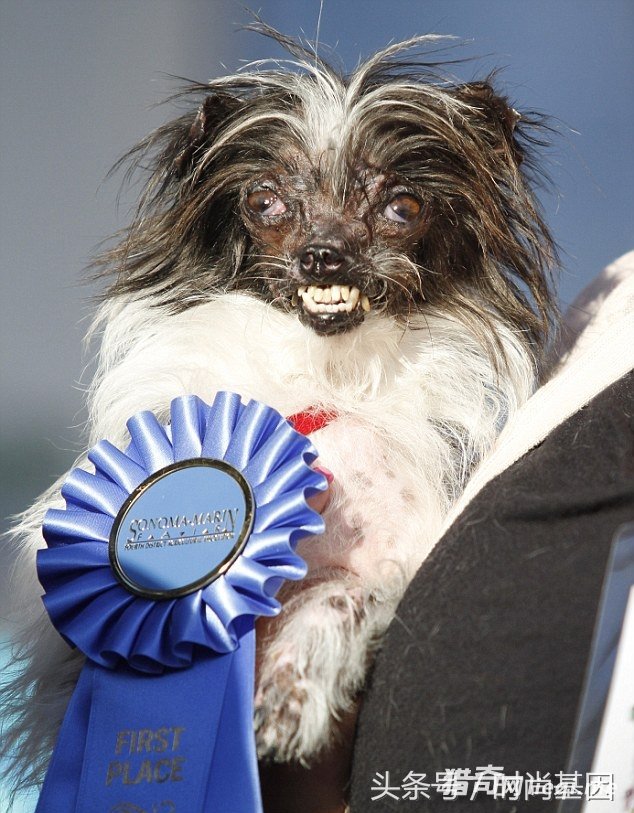 ������󹷴������ھ�������ͻ��ë��ϡ��Ӯ��1��Ԫ����(1)