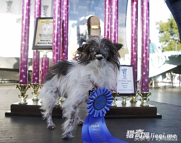 ������󹷴������ھ�������ͻ��ë��ϡ��Ӯ��1��Ԫ����(1)