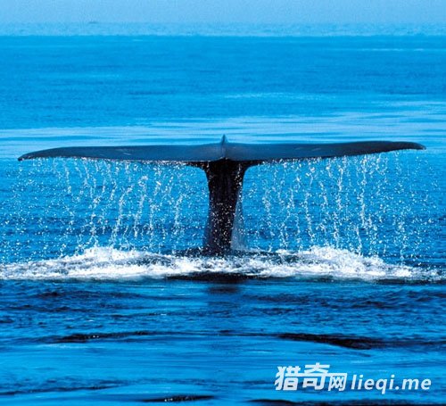 ����Ϊ�λ�ѡ��ײ���������������겻��(1)