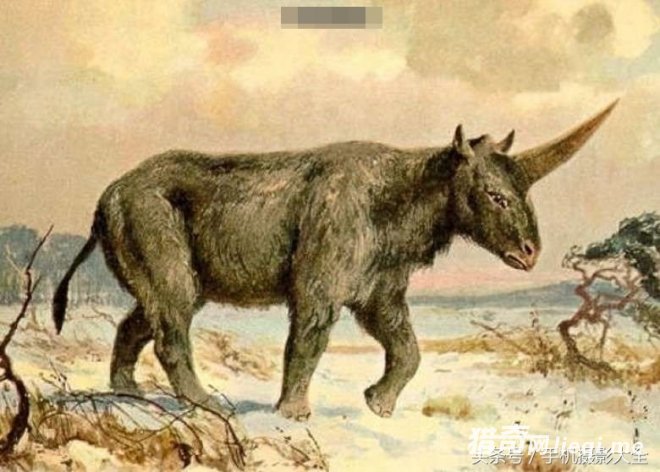 ����ѧ��֤�������޵�ȷ���ڣ�Ϊʲô�������в�һ��(1)