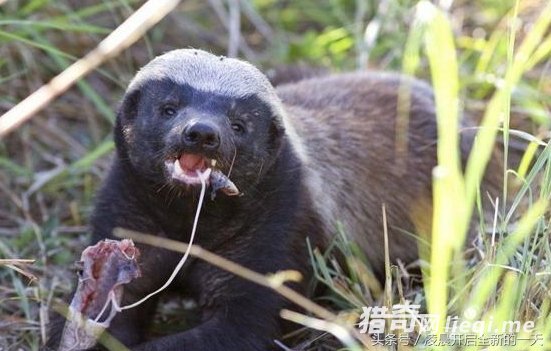 ����������ԣ�����������������ս����ϲ������ִ�żᶨ�ľ���(3)