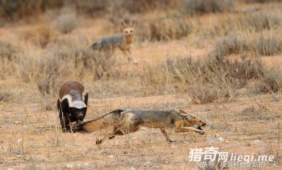 ����������ԣ�����������������ս����ϲ������ִ�żᶨ�ľ���(2)