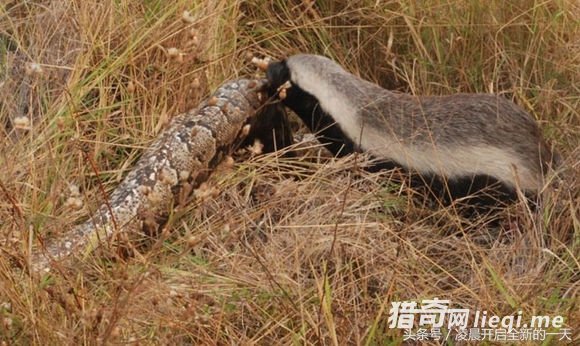 ����������ԣ�����������������ս����ϲ������ִ�żᶨ�ľ���(2)