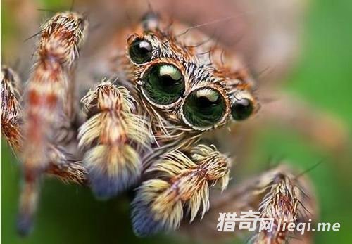 ʮ���������ֽ��䷽ʽ����Բ���ڽ���ʱ����(1)