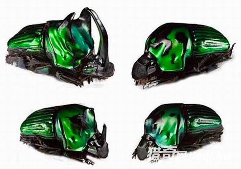 ʮ���������ֽ��䷽ʽ����Բ���ڽ���ʱ����(2)