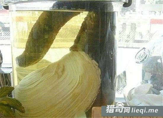 �����ʮ��������Ķ�����ڹ�����ڵ���(2)