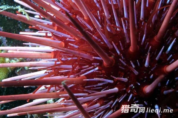 �����ʮ��������Ķ�����ڹ�����ڵ���(3)