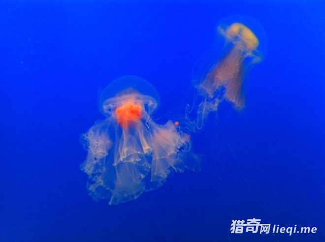 �����ʮ��������Ķ�����ڹ�����ڵ���(1)