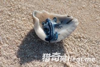 ���������˹���������������������Ķ���(1)