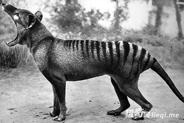 �����ϰ˴����ض���е��Ѿ�������е�������Ϊ�ƽ�(3)