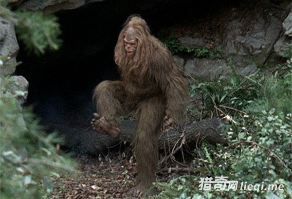 �����ϰ˴����ض���е��Ѿ�������е�������Ϊ�ƽ�(1)