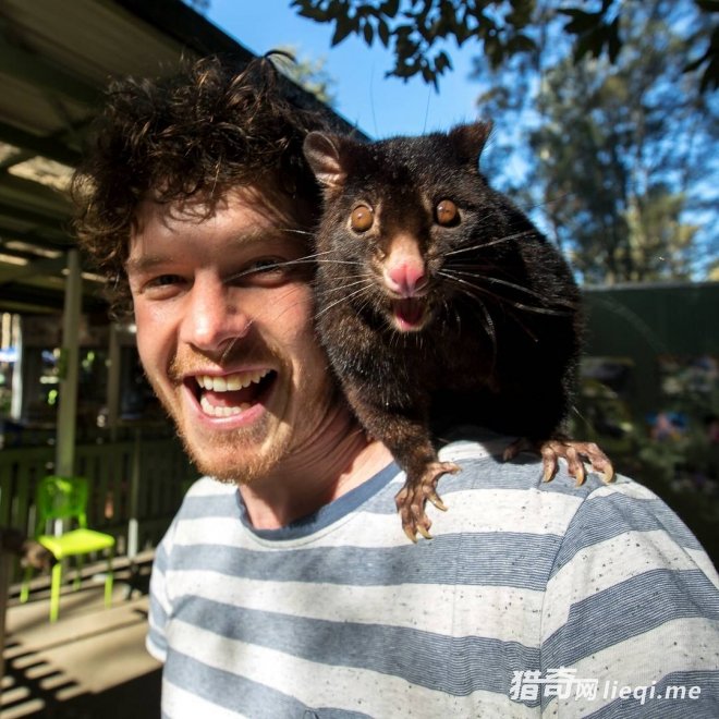 �����������������Ĺ��������������磬���ģ��Ͷ�����ˣ(3)