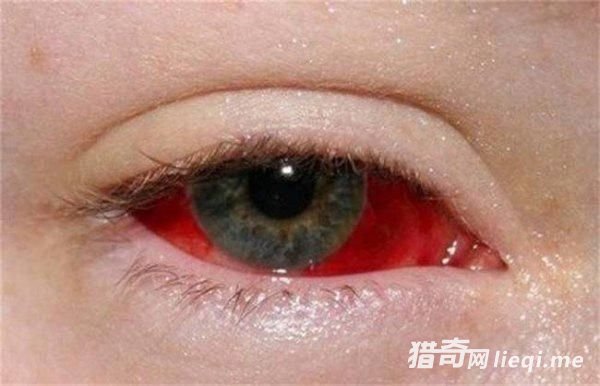 �������������ԲУ���ô�Դ��Լ������壬�������Խ���(5)