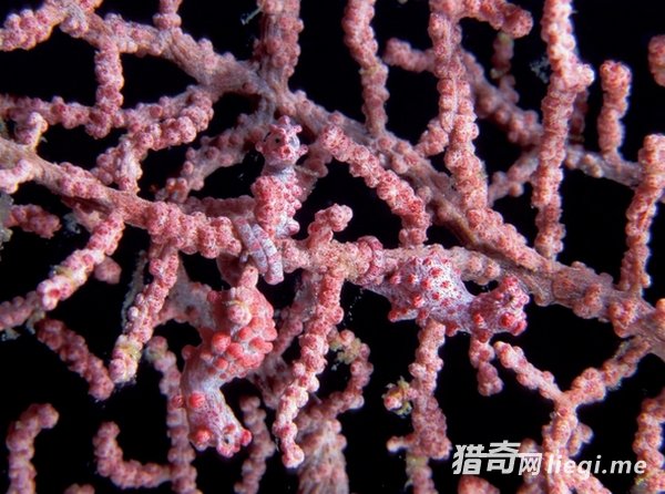 ��Ȼ���е����ظ��֣��������ҳ�������(6)