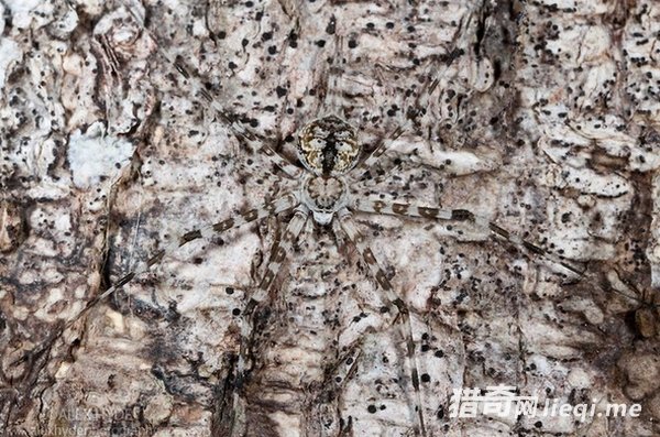 ��Ȼ���е����ظ��֣��������ҳ�������(1)