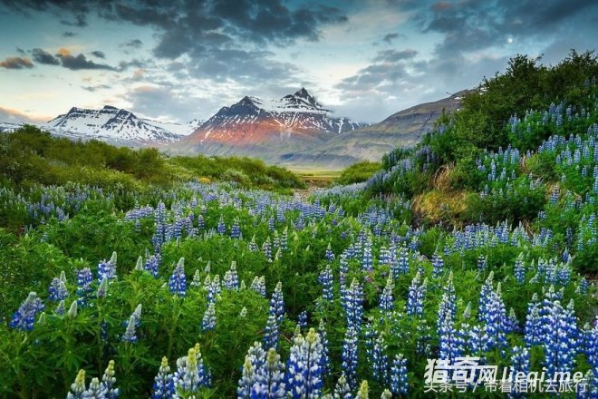 ��һ�����ң������ͻᡰ��Ϣ�������켸��û�к�ҹ(5)