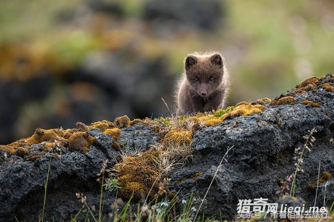 ��һ�����ң������ͻᡰ��Ϣ�������켸��û�к�ҹ(3)