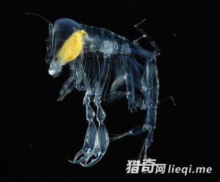 �̵�ȫ��ʮ��͸������(2)