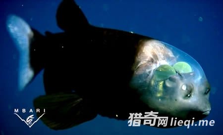 �̵�ȫ��ʮ��͸������(2)