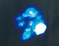 <b>����������ɫ�����ﲻ�Ƿ���Ҳ���Ƿɻ�����UFO</b>