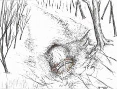 ������UFO���࣢ ����ֱ����ϱ���ϯ��