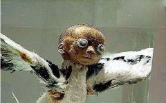 <b>���ŷ��֣���ʹģ���ĹǼܺ�ͷ�ǻ�ʯ</b>