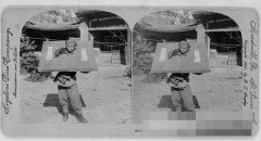 �������ɱ¾��Ѫ�ȳ���