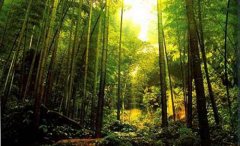 <b>�Ĵ����񹵣���ȥ�޻�֮��</b>