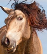 ����ӭ��΢Ц���㷢������ ����ϴ��ˮ���